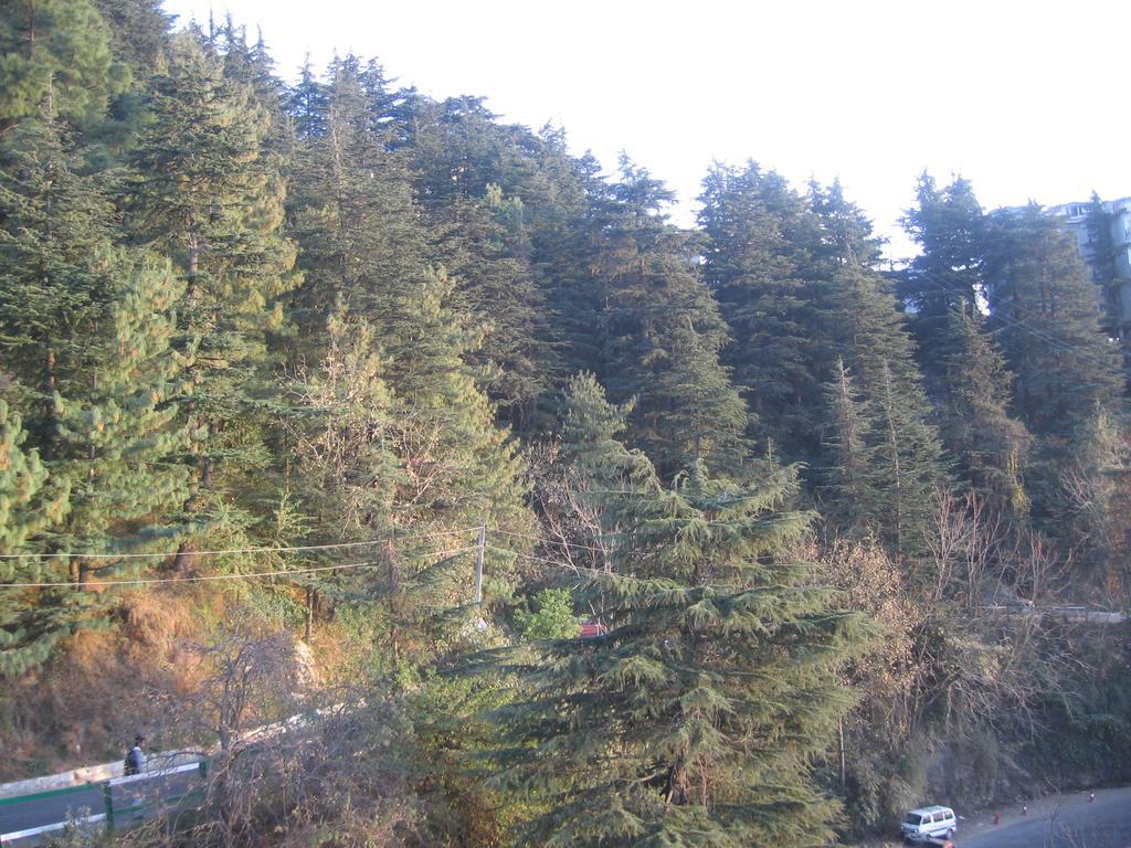 Shimla View Home מראה חיצוני תמונה