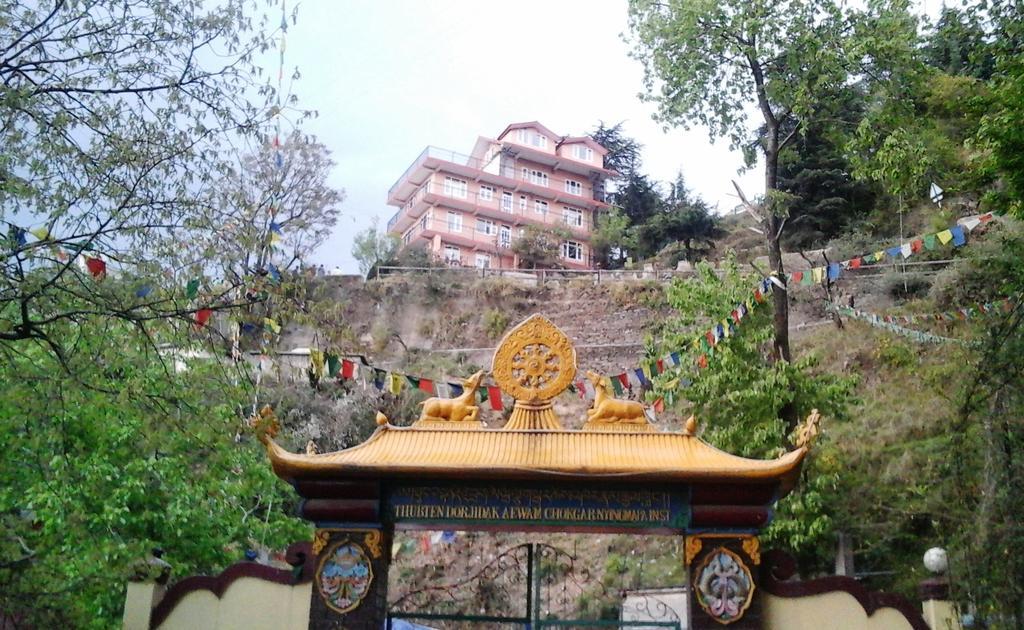 Shimla View Home מראה חיצוני תמונה